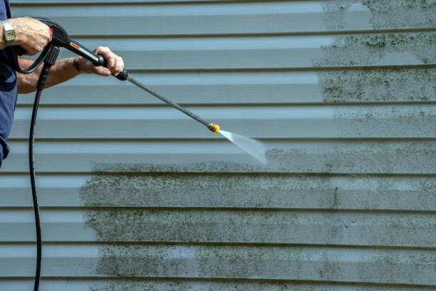 Best Paint Preparation  in Hicksville, OH