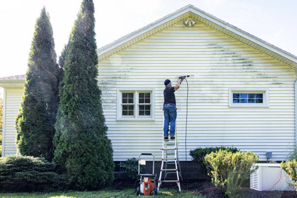 Best Dumpster Area Cleaning  in Hicksville, OH